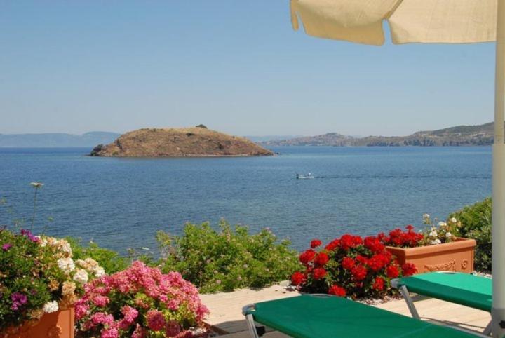 Birds Bay Resort Petra  Eksteriør billede