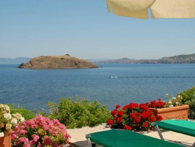 Birds Bay Resort Petra  Værelse billede